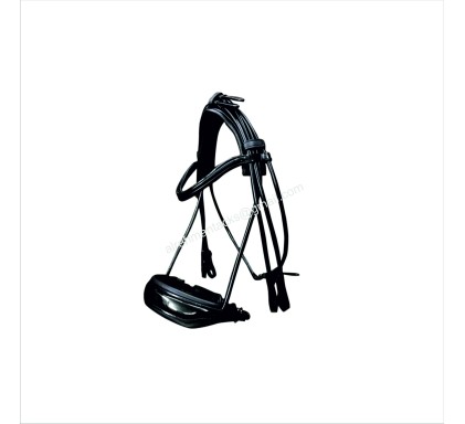 Leather Bridle